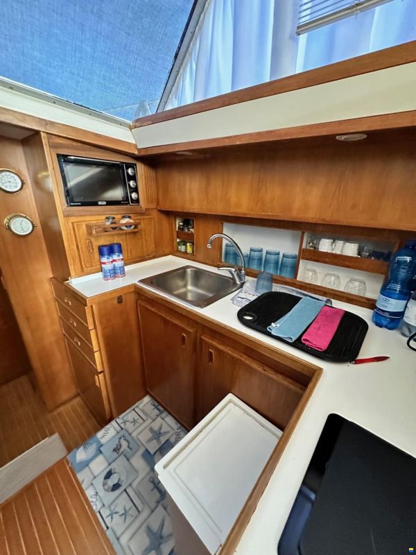Bertram Yacht Bertram 46.6