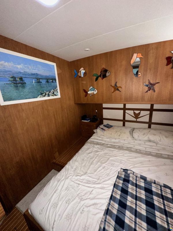 Bertram Yacht Bertram 46.6