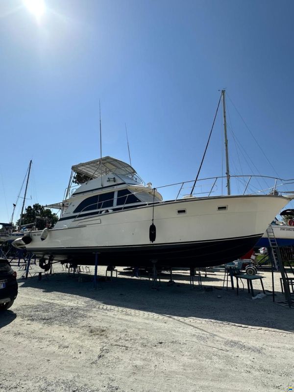 Bertram Yacht Bertram 46.6