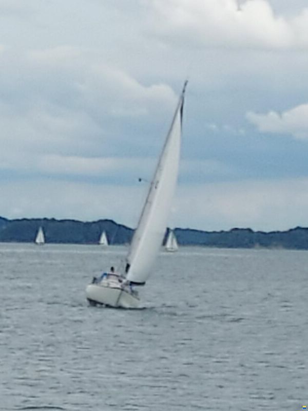 Hallberg-Rassy Mistress 32