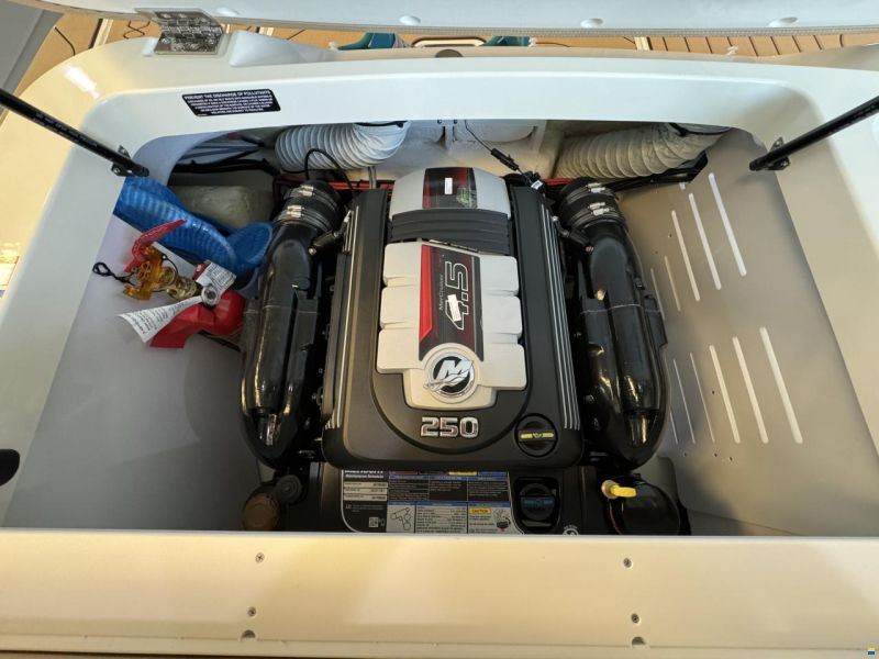 Sea Ray 190 SPX