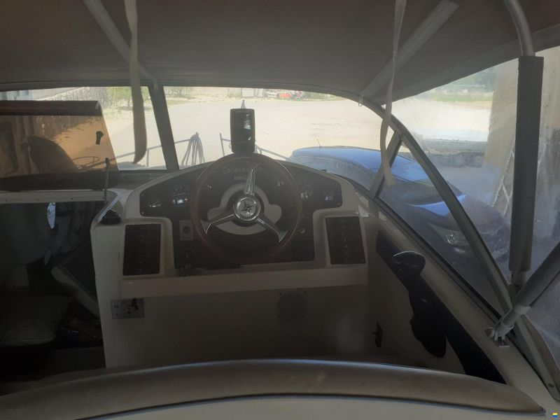 Drago 26