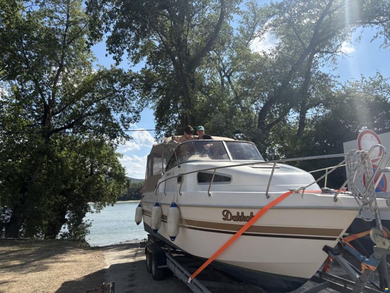 Drago 26