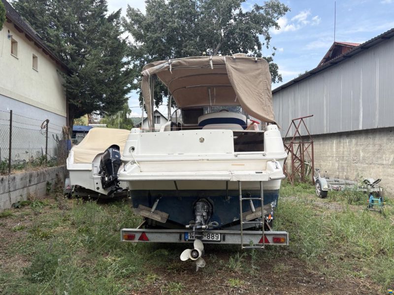 Drago 26
