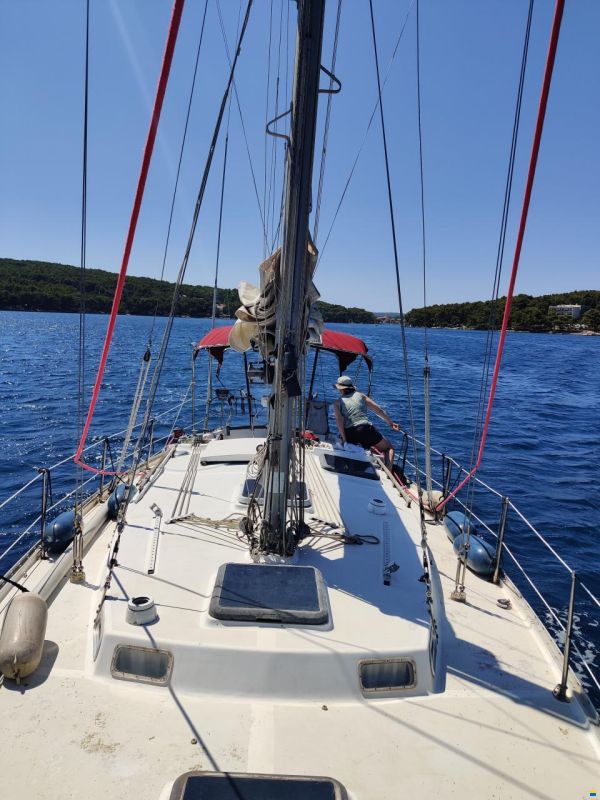 Trismus 37