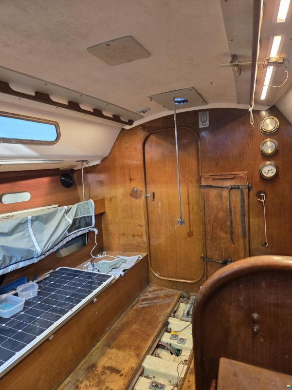 Contessa OOD 34