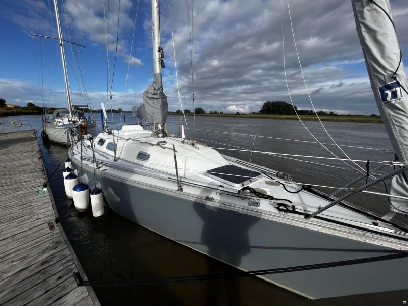 Contessa OOD 34