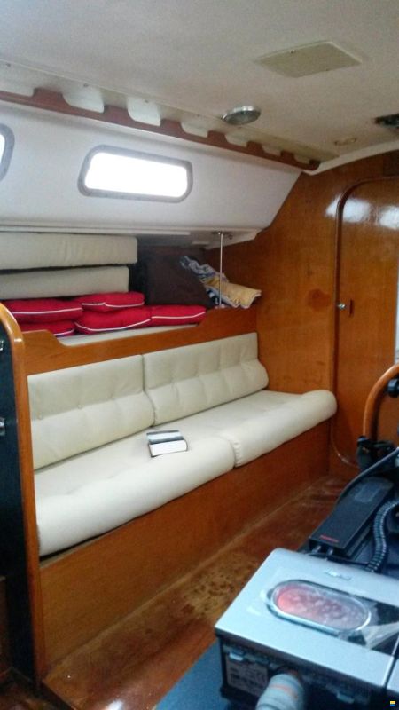 Contessa OOD 34