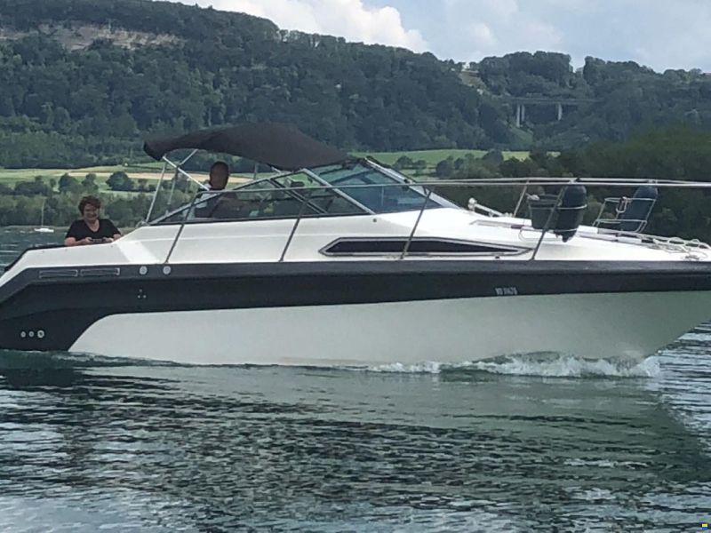 Sea Ray Sundancer 250 DA