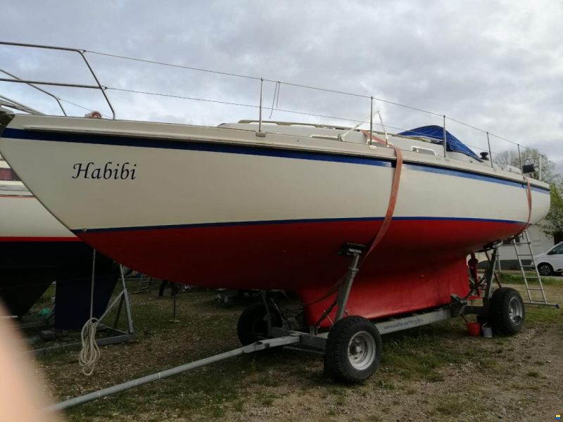 de Kloet Fellowship 33