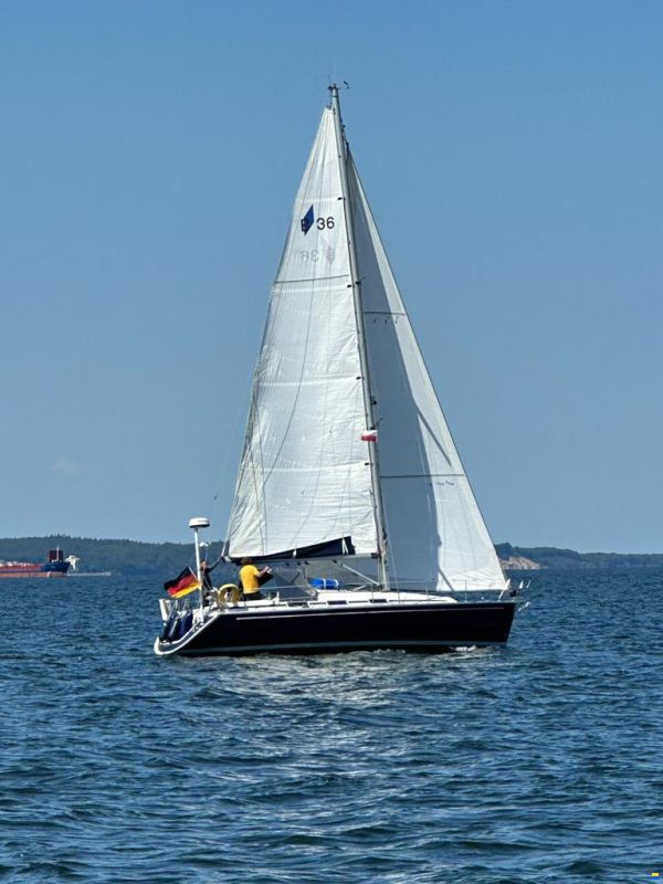 Bavaria 36-3 image