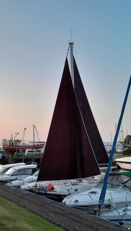 Westerly Longbow 31