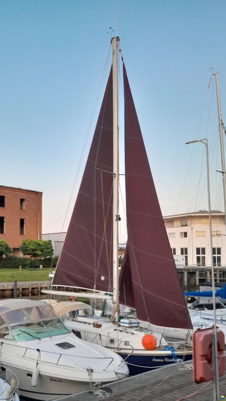Westerly Longbow 31