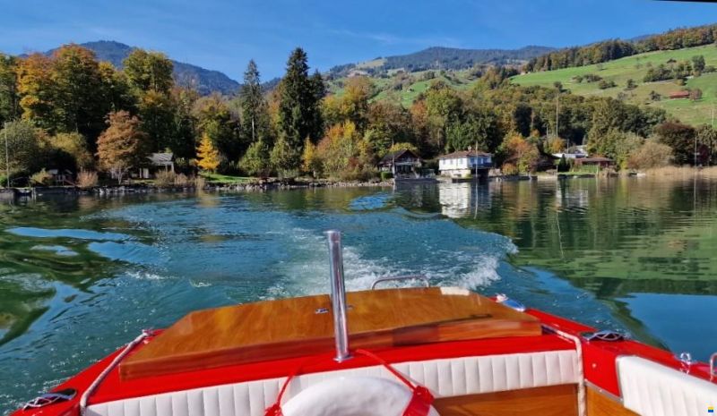 Schweizer Saphire 1B - Volvo Penta/AQ 130/250