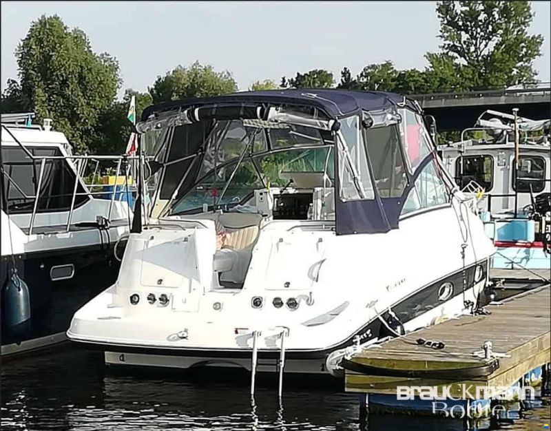 Campion Allante 825i