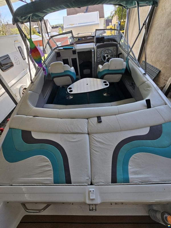Dynasty Daycruiser