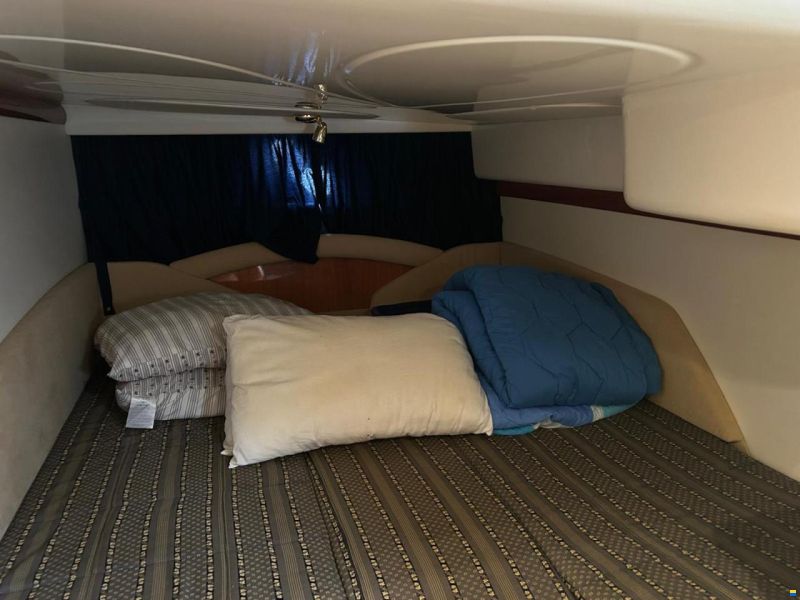 Cranchi Gliser 41