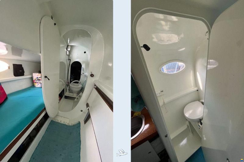52 ONE OFF Performance Catamaran