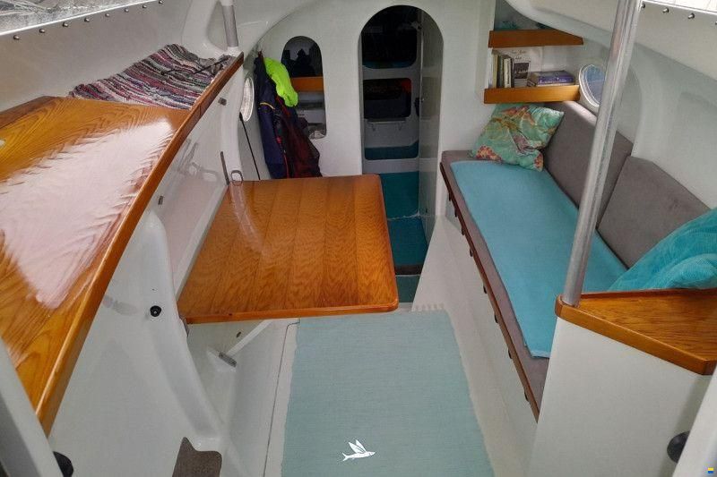 52 ONE OFF Performance Catamaran