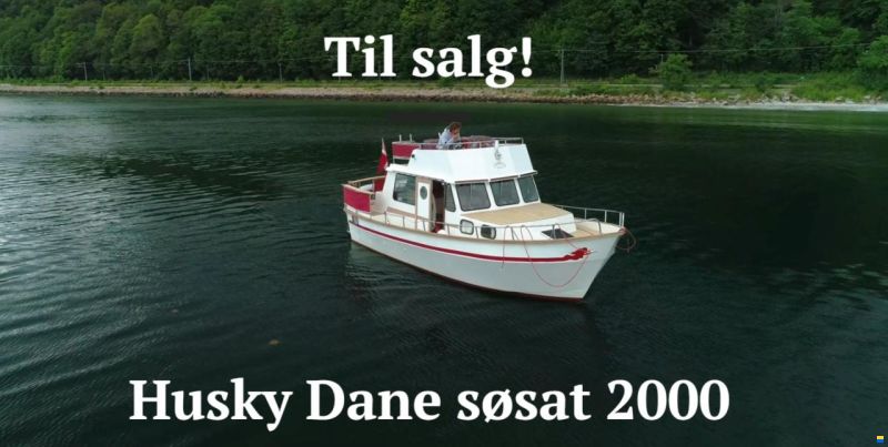 Husky Dane 85