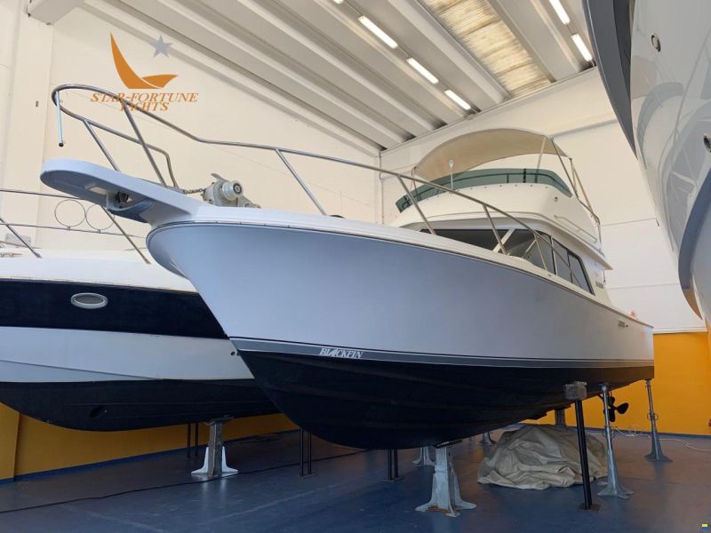 Blackfin 29  Flybridge