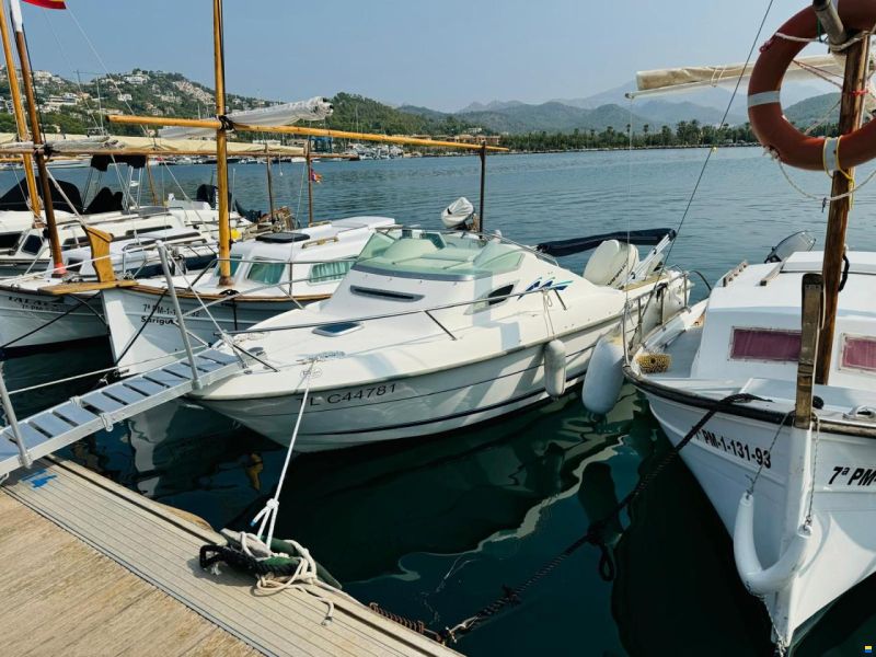 B2 Marine Cap Ferret
