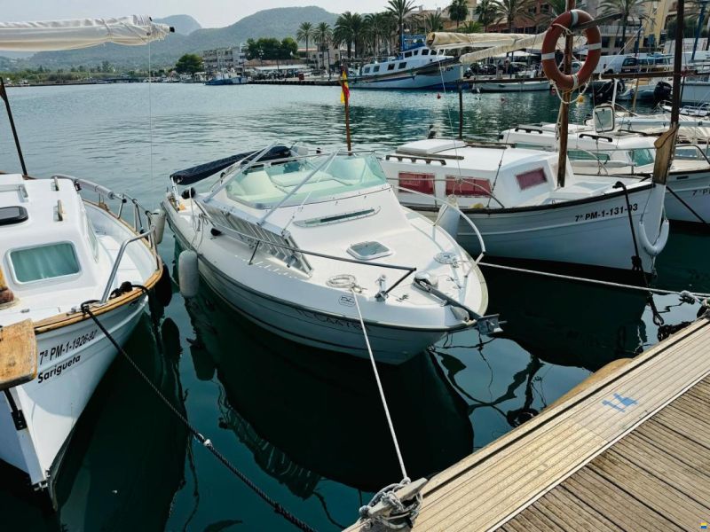 B2 Marine Cap Ferret