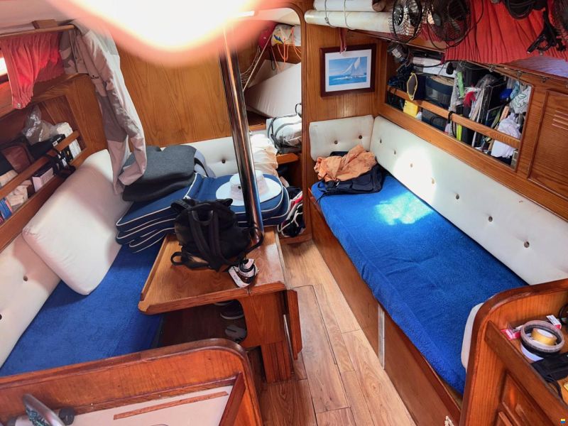 Dresport Furia 32