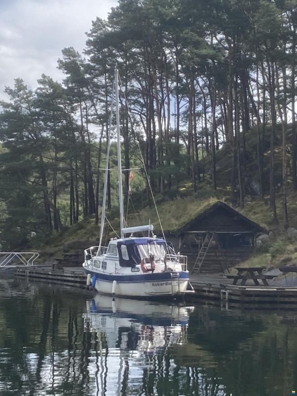 Finnsailer 29