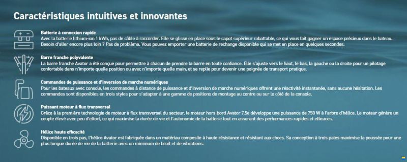 Mercury moteur électrique Avator 7.5e