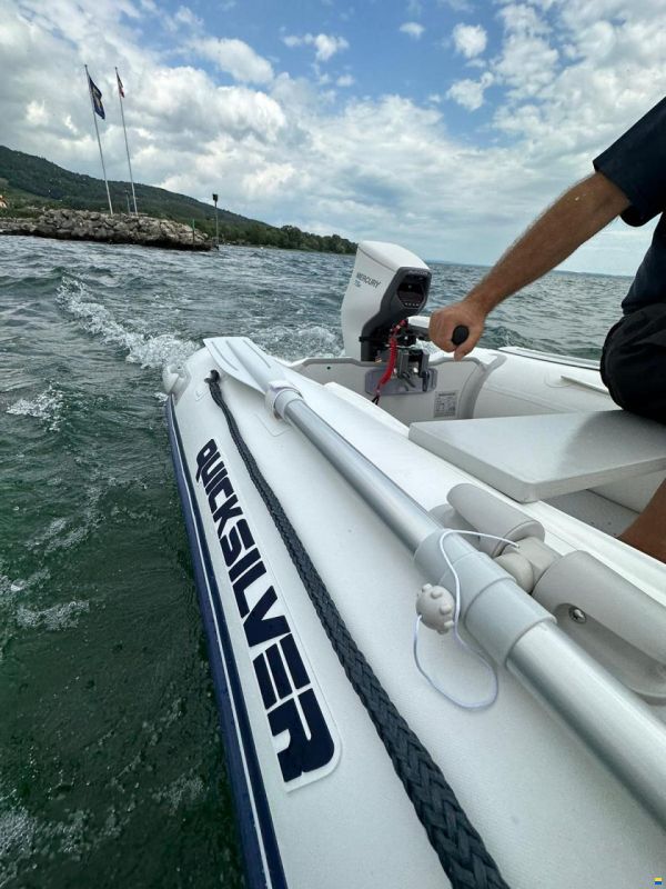 Mercury moteur électrique Avator 7.5e