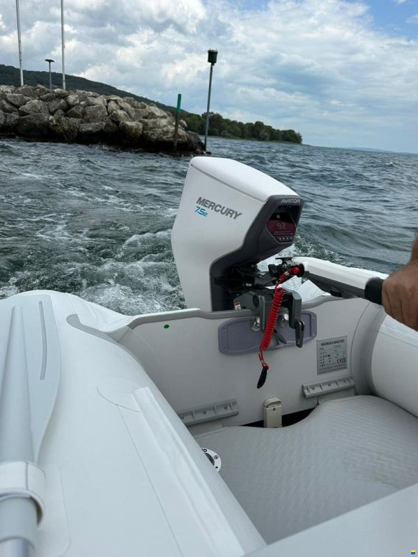 Mercury moteur électrique Avator 7.5e