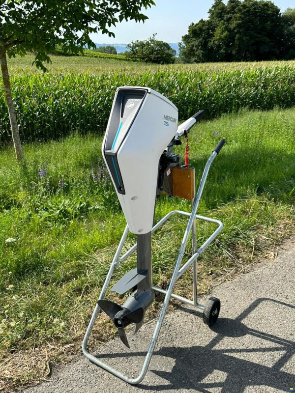 Mercury moteur électrique Avator 7.5e