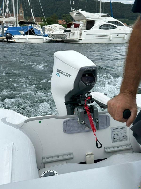 Mercury moteur électrique Avator 7.5e