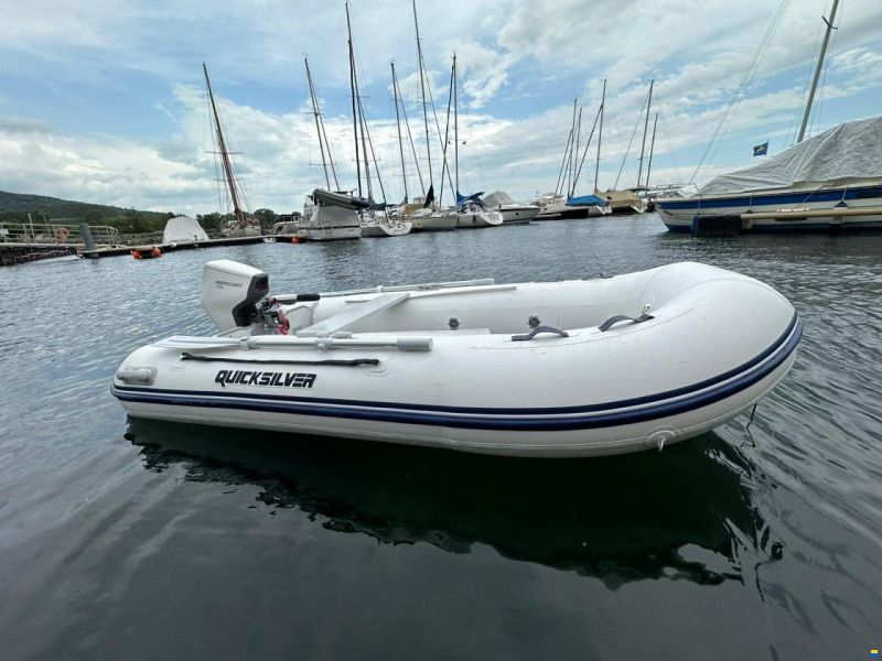 Mercury moteur électrique Avator 7.5e