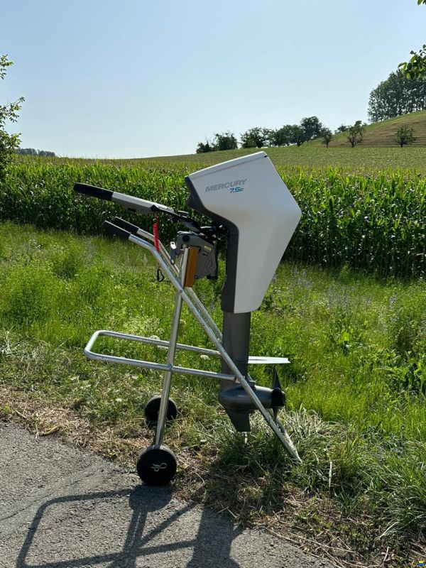 Mercury moteur électrique Avator 7.5e