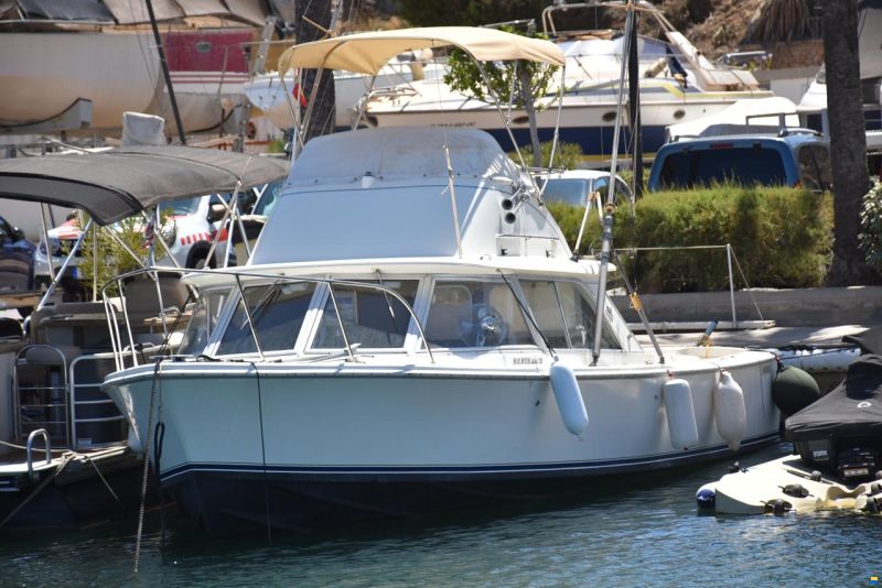 Bertram 31 FLY Cruiser