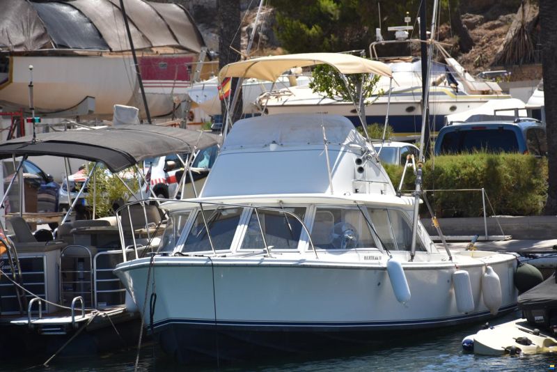 Bertram 31 FLY Cruiser