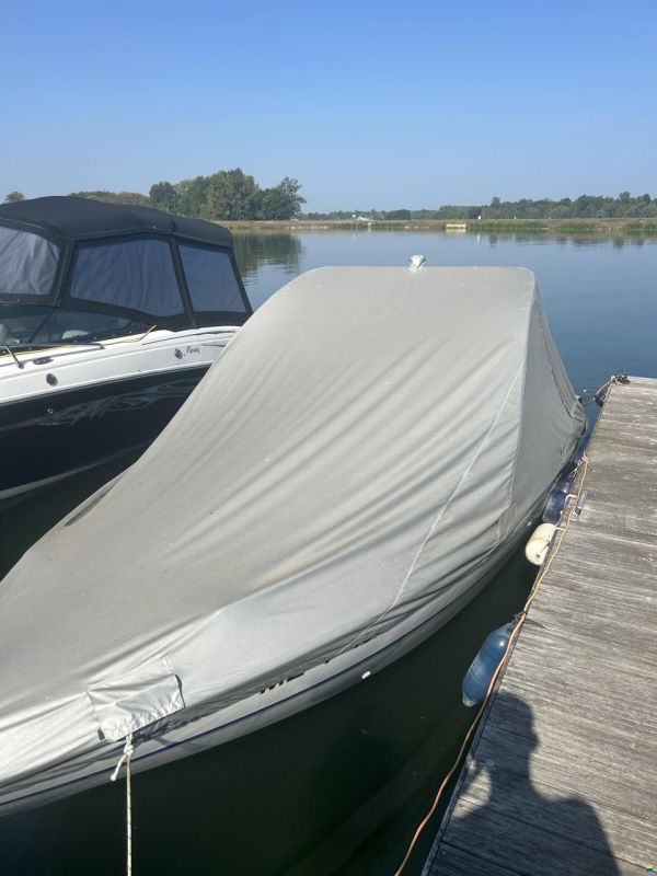 Stingray LX200