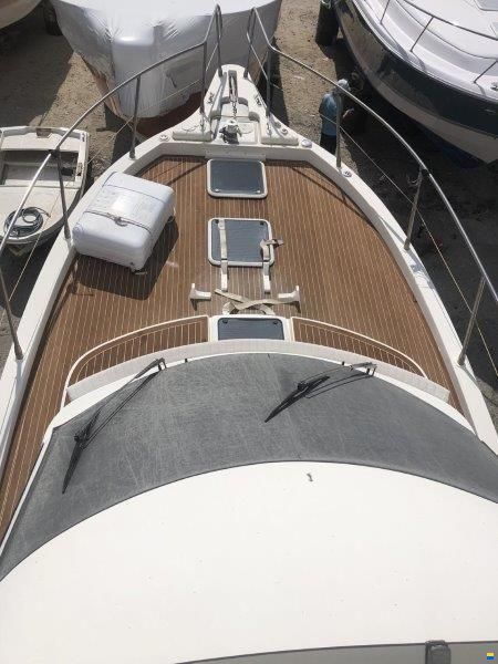Blue Navy 430