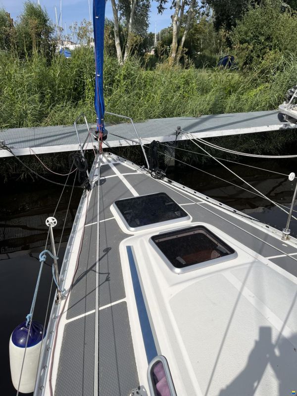 Dynamic 43