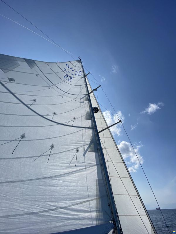 Dynamic 43