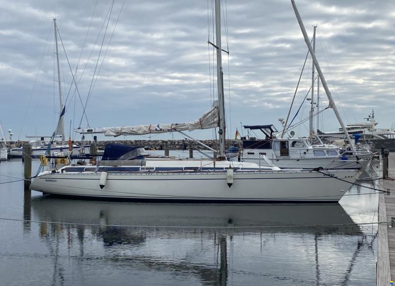 Dynamic 43