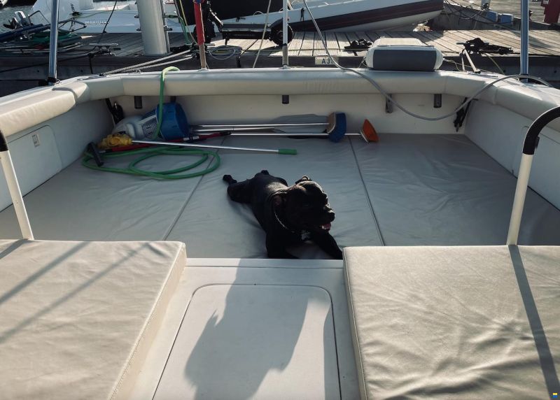 Bertram Moppie 28