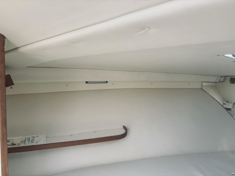 Bertram Moppie 28