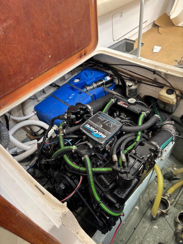 Bertram Moppie 28
