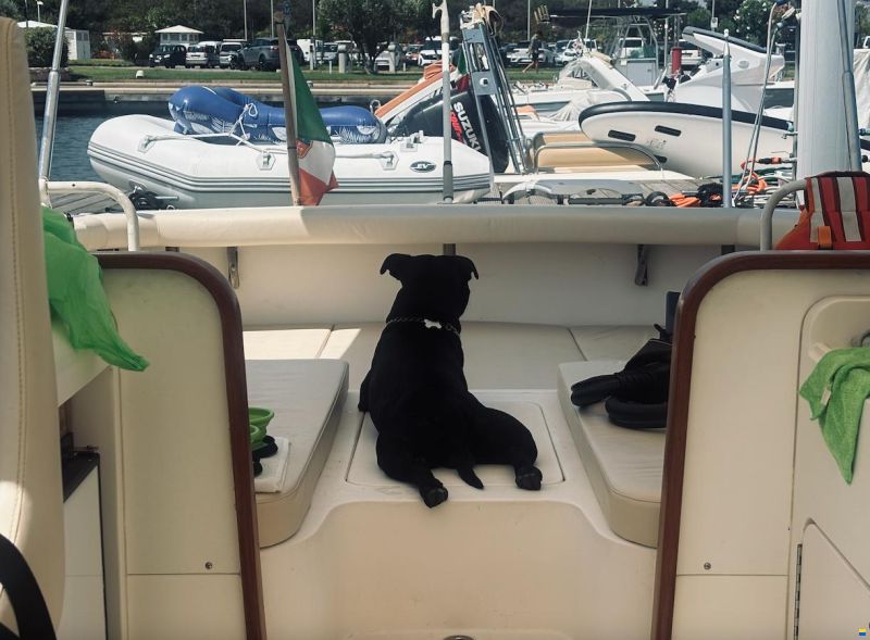 Bertram Moppie 28