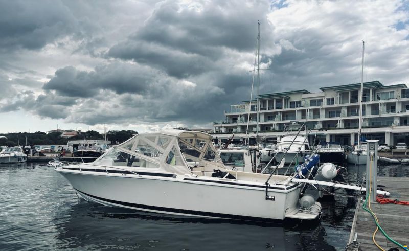 Bertram Moppie 28