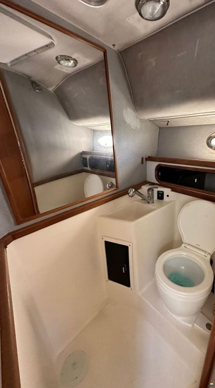 Tiara 3100