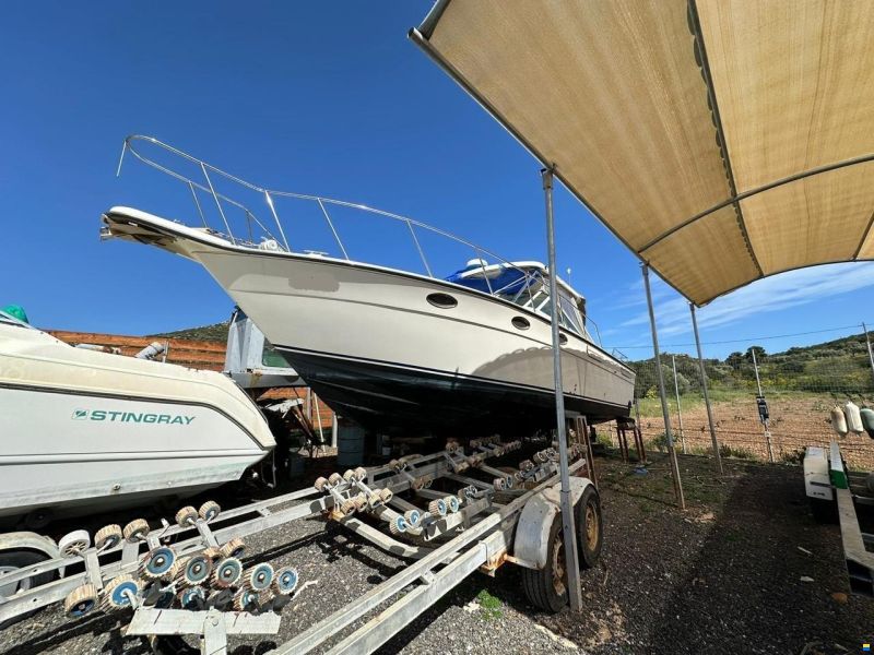 Tiara 3100